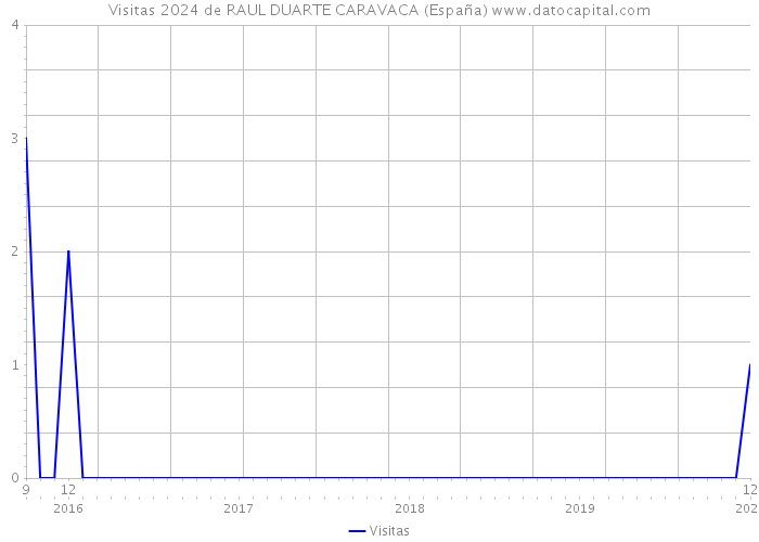 Visitas 2024 de RAUL DUARTE CARAVACA (España) 