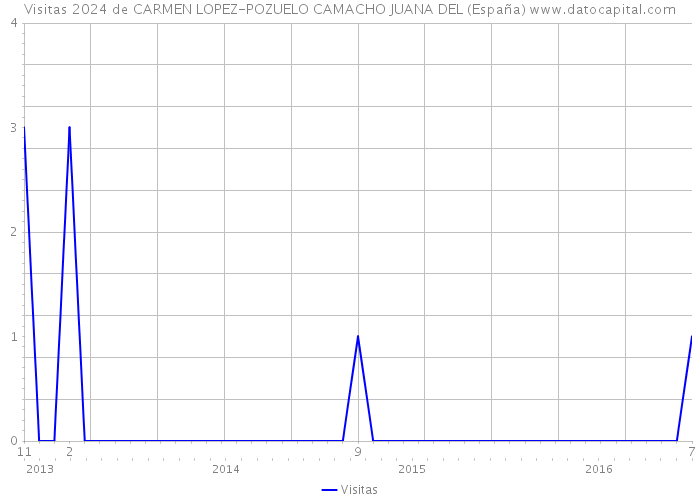Visitas 2024 de CARMEN LOPEZ-POZUELO CAMACHO JUANA DEL (España) 