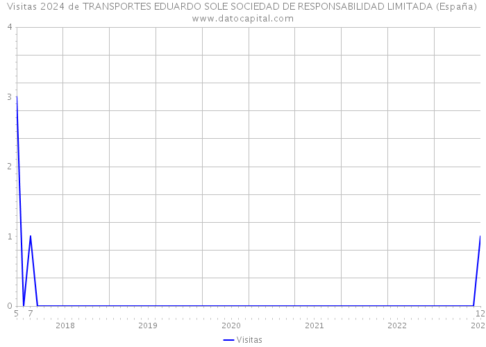 Visitas 2024 de TRANSPORTES EDUARDO SOLE SOCIEDAD DE RESPONSABILIDAD LIMITADA (España) 