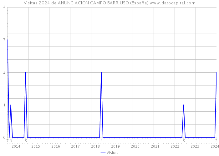 Visitas 2024 de ANUNCIACION CAMPO BARRIUSO (España) 