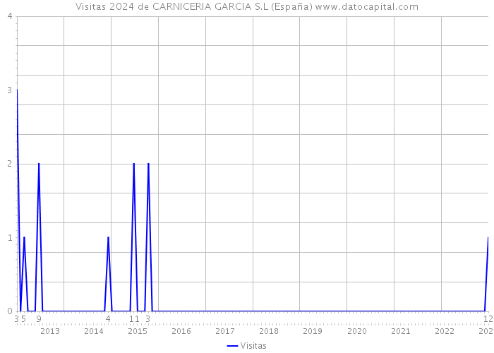 Visitas 2024 de CARNICERIA GARCIA S.L (España) 
