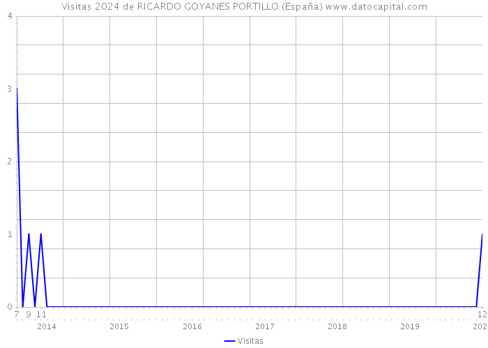 Visitas 2024 de RICARDO GOYANES PORTILLO (España) 