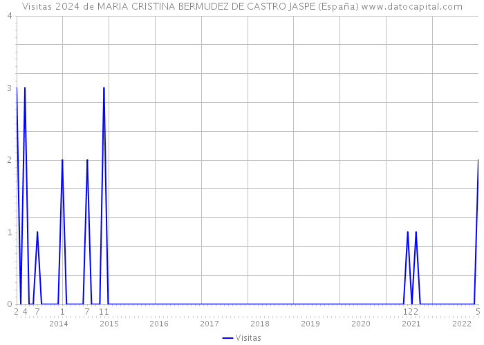Visitas 2024 de MARIA CRISTINA BERMUDEZ DE CASTRO JASPE (España) 