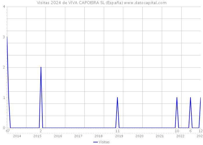 Visitas 2024 de VIVA CAPOEIRA SL (España) 