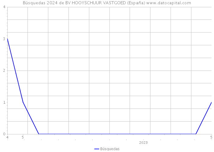 Búsquedas 2024 de BV HOOYSCHUUR VASTGOED (España) 