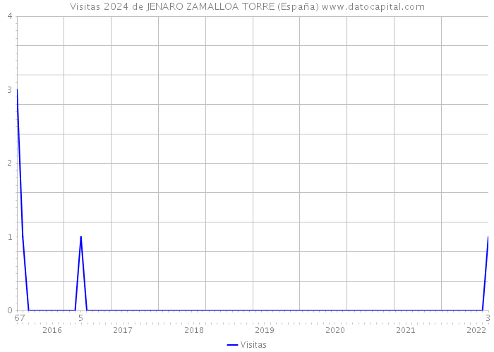 Visitas 2024 de JENARO ZAMALLOA TORRE (España) 