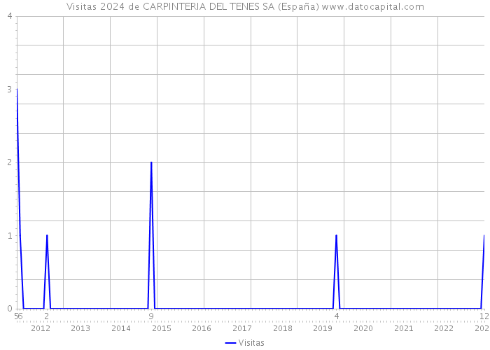 Visitas 2024 de CARPINTERIA DEL TENES SA (España) 