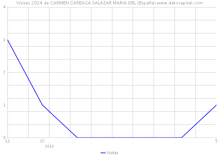 Visitas 2024 de CARMEN CAREAGA SALAZAR MARIA DEL (España) 