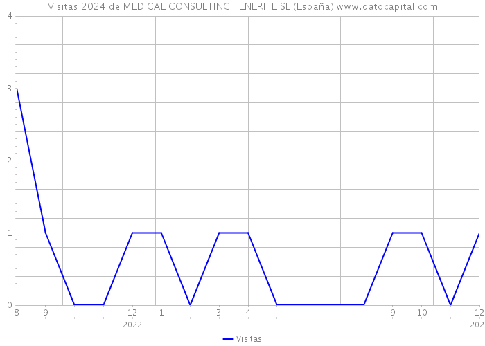 Visitas 2024 de MEDICAL CONSULTING TENERIFE SL (España) 
