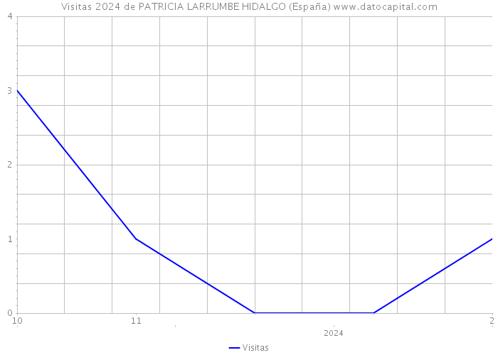 Visitas 2024 de PATRICIA LARRUMBE HIDALGO (España) 