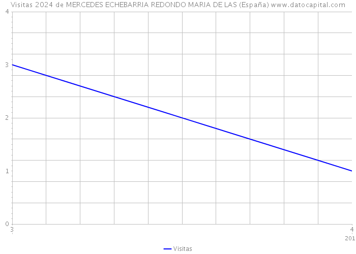 Visitas 2024 de MERCEDES ECHEBARRIA REDONDO MARIA DE LAS (España) 