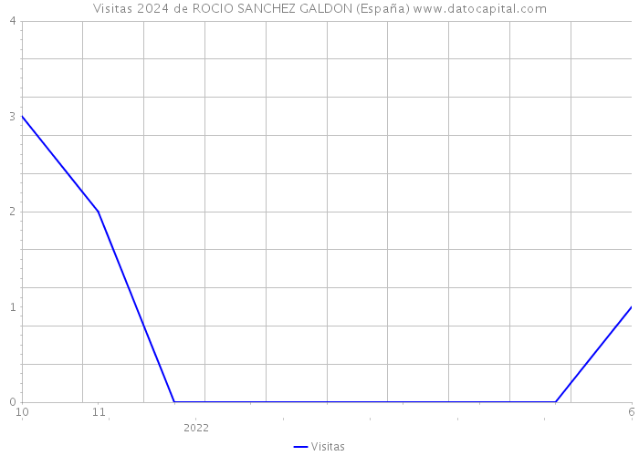 Visitas 2024 de ROCIO SANCHEZ GALDON (España) 