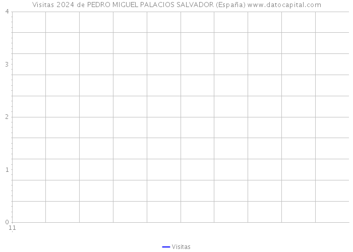 Visitas 2024 de PEDRO MIGUEL PALACIOS SALVADOR (España) 