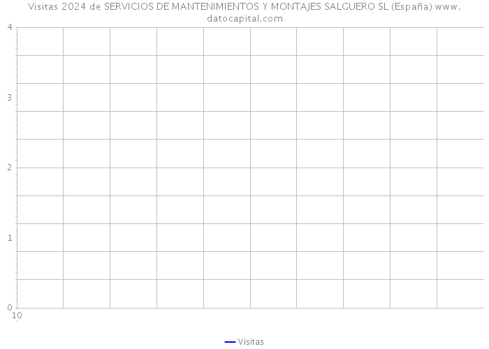 Visitas 2024 de SERVICIOS DE MANTENIMIENTOS Y MONTAJES SALGUERO SL (España) 