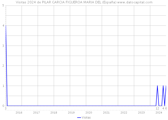 Visitas 2024 de PILAR GARCIA FIGUEROA MARIA DEL (España) 