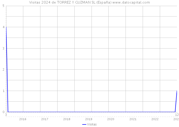 Visitas 2024 de TORREZ Y GUZMAN SL (España) 