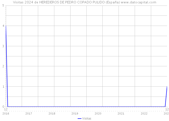 Visitas 2024 de HEREDEROS DE PEDRO COPADO PULIDO (España) 