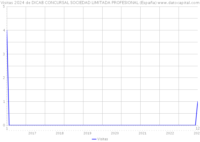Visitas 2024 de DICAB CONCURSAL SOCIEDAD LIMITADA PROFESIONAL (España) 