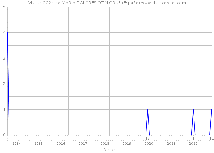 Visitas 2024 de MARIA DOLORES OTIN ORUS (España) 