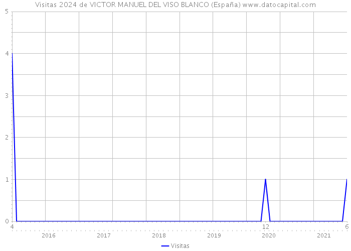 Visitas 2024 de VICTOR MANUEL DEL VISO BLANCO (España) 