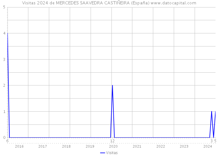 Visitas 2024 de MERCEDES SAAVEDRA CASTIÑEIRA (España) 
