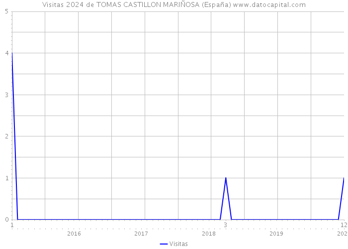 Visitas 2024 de TOMAS CASTILLON MARIÑOSA (España) 