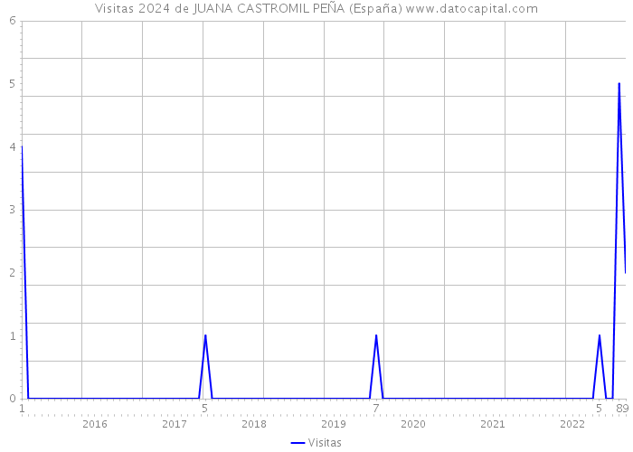 Visitas 2024 de JUANA CASTROMIL PEÑA (España) 