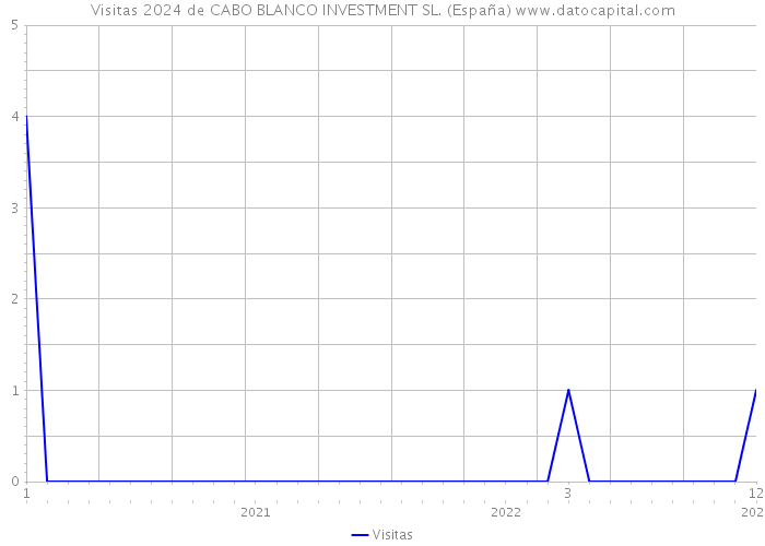 Visitas 2024 de CABO BLANCO INVESTMENT SL. (España) 