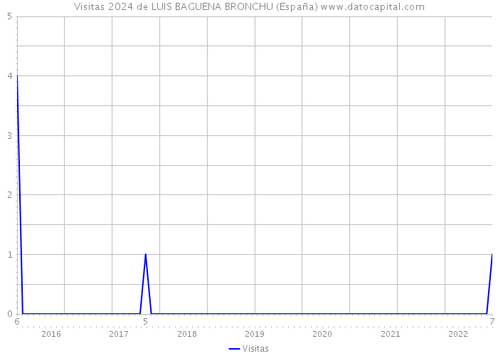 Visitas 2024 de LUIS BAGUENA BRONCHU (España) 
