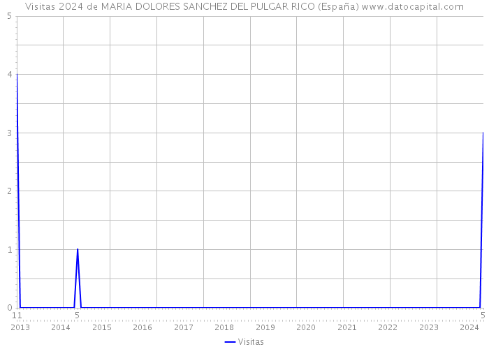 Visitas 2024 de MARIA DOLORES SANCHEZ DEL PULGAR RICO (España) 