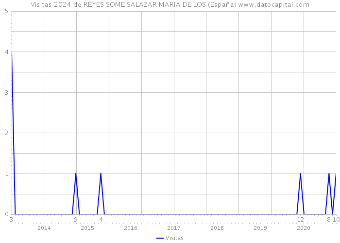 Visitas 2024 de REYES SOME SALAZAR MARIA DE LOS (España) 