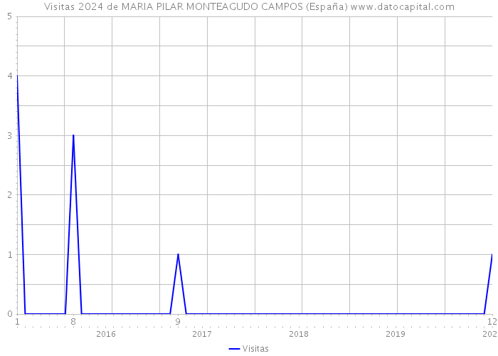 Visitas 2024 de MARIA PILAR MONTEAGUDO CAMPOS (España) 