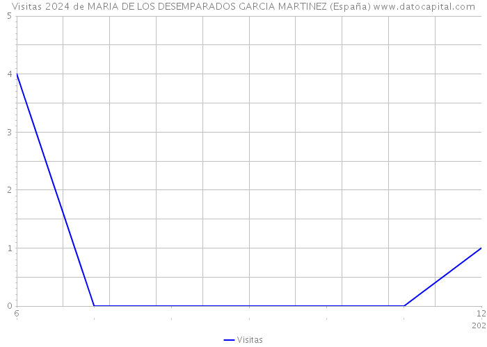 Visitas 2024 de MARIA DE LOS DESEMPARADOS GARCIA MARTINEZ (España) 