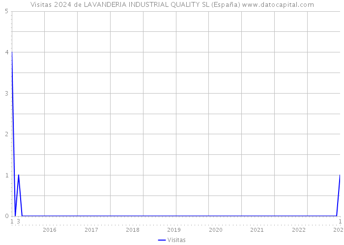 Visitas 2024 de LAVANDERIA INDUSTRIAL QUALITY SL (España) 