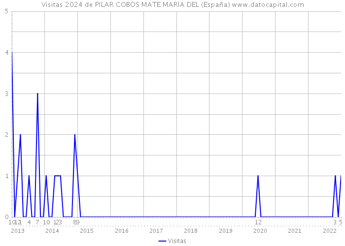 Visitas 2024 de PILAR COBOS MATE MARIA DEL (España) 