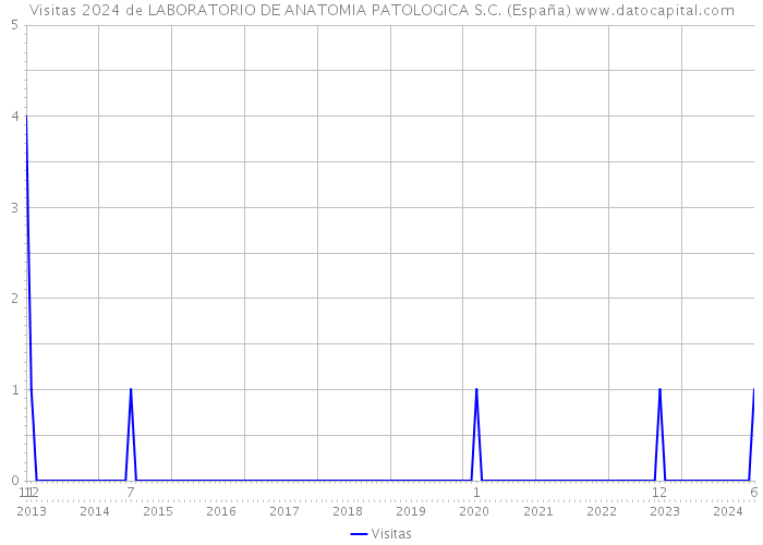 Visitas 2024 de LABORATORIO DE ANATOMIA PATOLOGICA S.C. (España) 