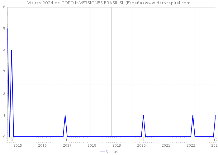 Visitas 2024 de COPO INVERSIONES BRASIL SL (España) 