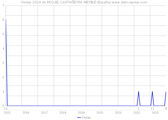 Visitas 2024 de MIGUEL CASTAÑEYRA WEYBLE (España) 