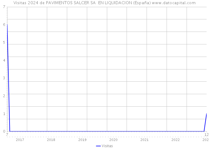 Visitas 2024 de PAVIMENTOS SALCER SA EN LIQUIDACION (España) 