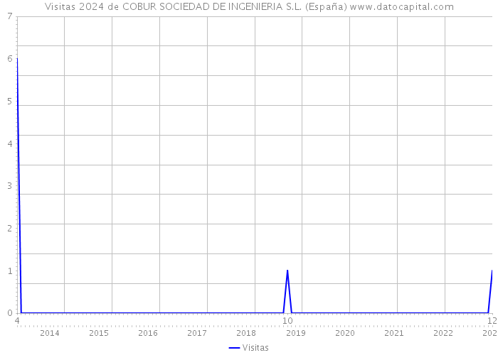 Visitas 2024 de COBUR SOCIEDAD DE INGENIERIA S.L. (España) 