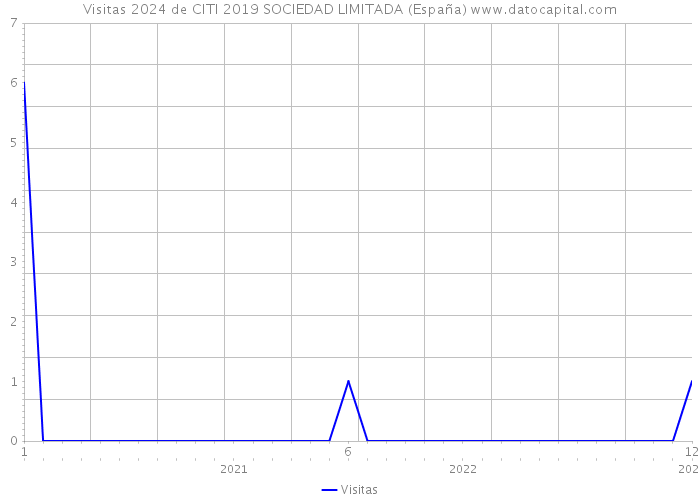 Visitas 2024 de CITI 2019 SOCIEDAD LIMITADA (España) 