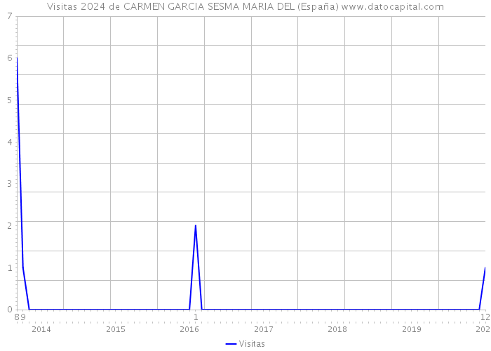 Visitas 2024 de CARMEN GARCIA SESMA MARIA DEL (España) 