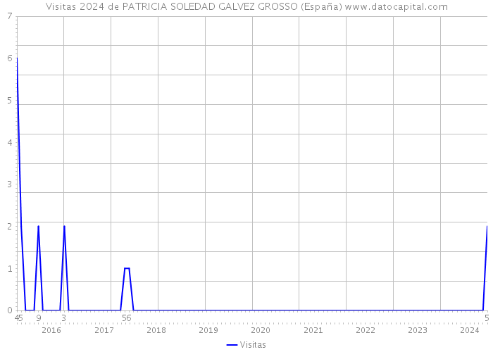 Visitas 2024 de PATRICIA SOLEDAD GALVEZ GROSSO (España) 