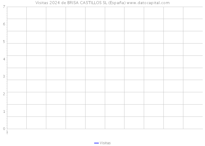 Visitas 2024 de BRISA CASTILLOS SL (España) 