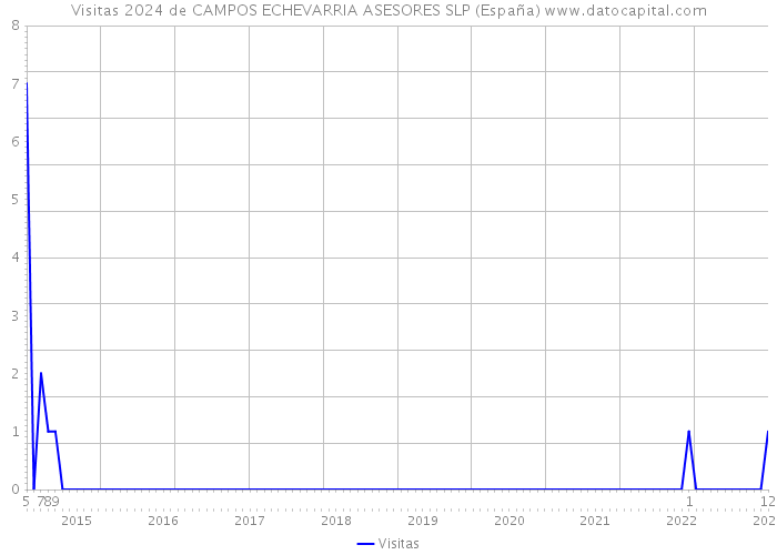 Visitas 2024 de CAMPOS ECHEVARRIA ASESORES SLP (España) 