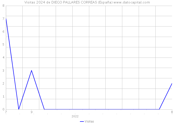Visitas 2024 de DIEGO PALLARES CORREAS (España) 